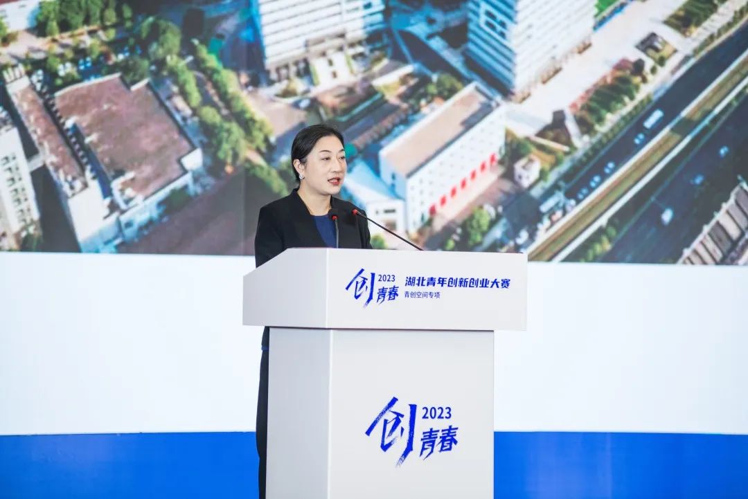655abc8c4b0e9.jpg